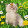 Алмазная мозаика Котик с бабочкой на носу (GF5439) Brushme 40х50 см