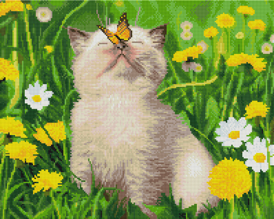 Алмазная мозаика Котик с бабочкой на носу (GF5439) Brushme 40х50 см
