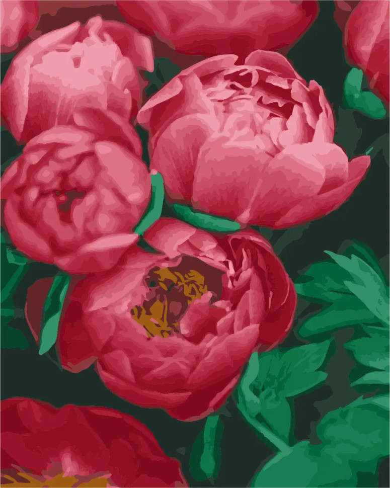 Картина по номерам ArtStory Красные пионы 40*50см