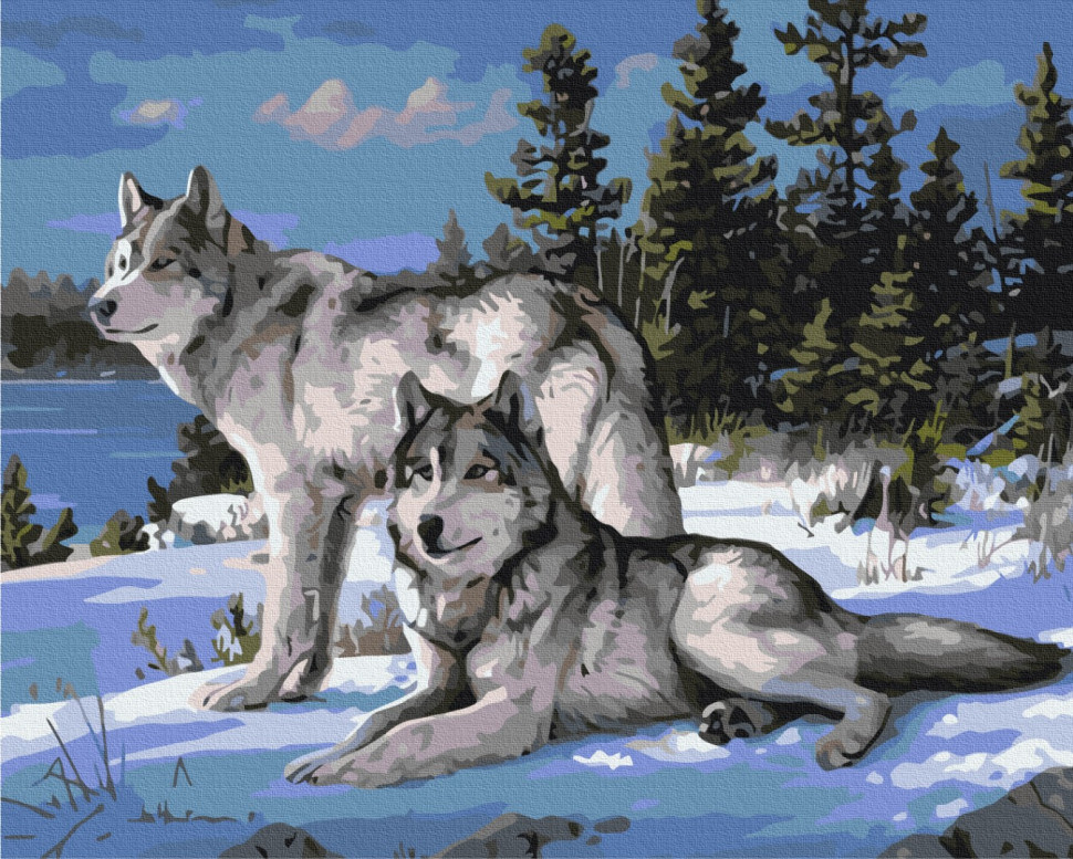 Картина за номерами Вовки-захисники (BS51412) Brushme 40x50 см