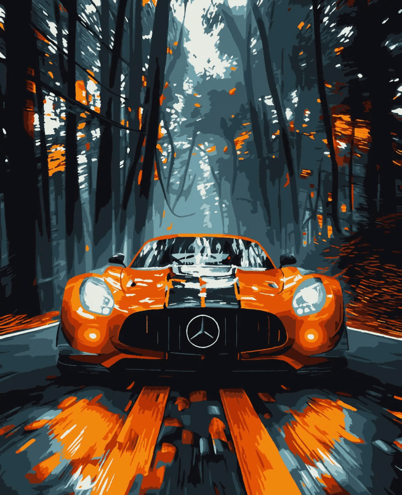 Картини за номерами Мерседес (PN9656) Artissimo 40*50 см