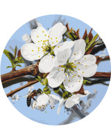 Картина за номерами Яблуневий колір (RC00096L) Brushme (Розмір L)