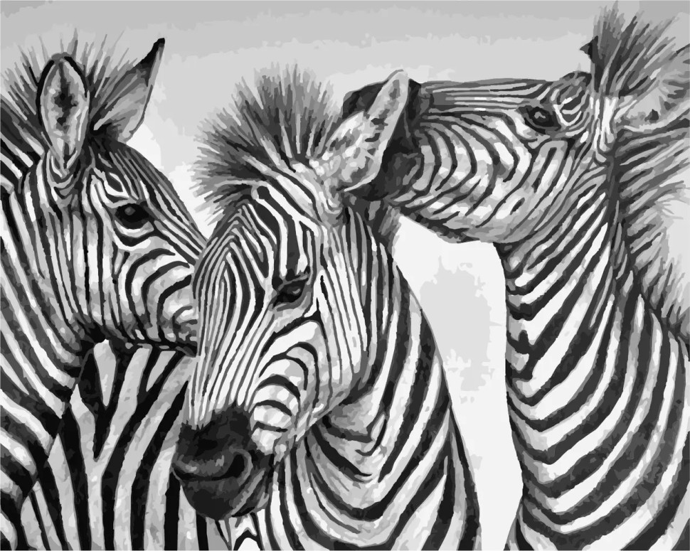 Картина по номерам ArtStory Три зебры 40*50см