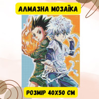 Алмазна мозаїка Origami Pro: Аніме. (Хантер Хантер) розмір 40x50 см (OD31060)