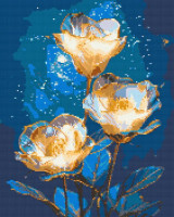 Алмазная мозаика Цветы (Космические астромерии) (размер 40x50 см)