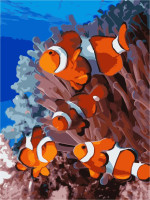 Картина по номерам ArtStory Рыбки 30*40см