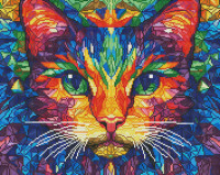 Цветной кот